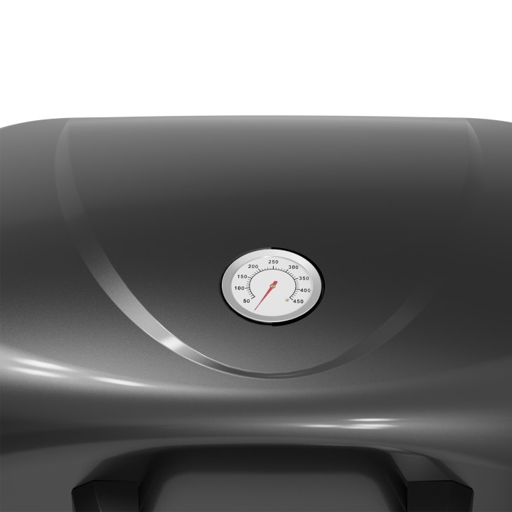 smartgas | ψησταριά υγραερίου gs grill 2 + plancha Thermogatz