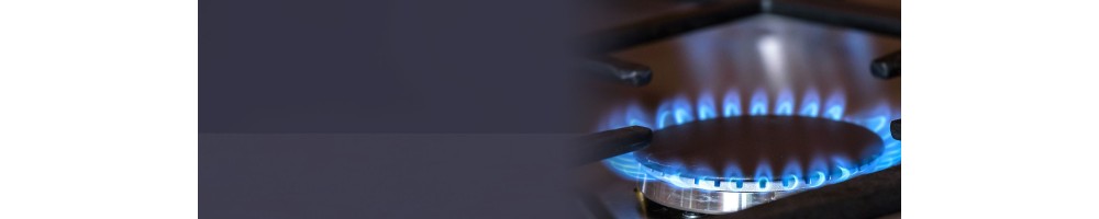 smartgas | βραστήρες επαγγελματικής και οικιακής χρήσης